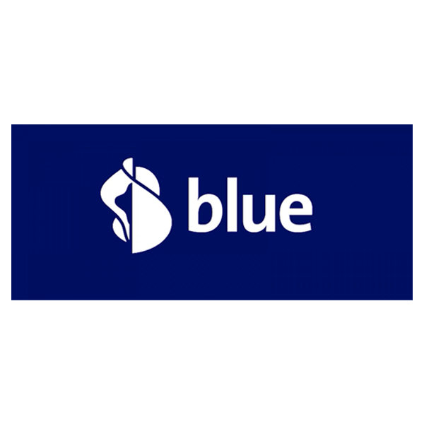Logo blue News
